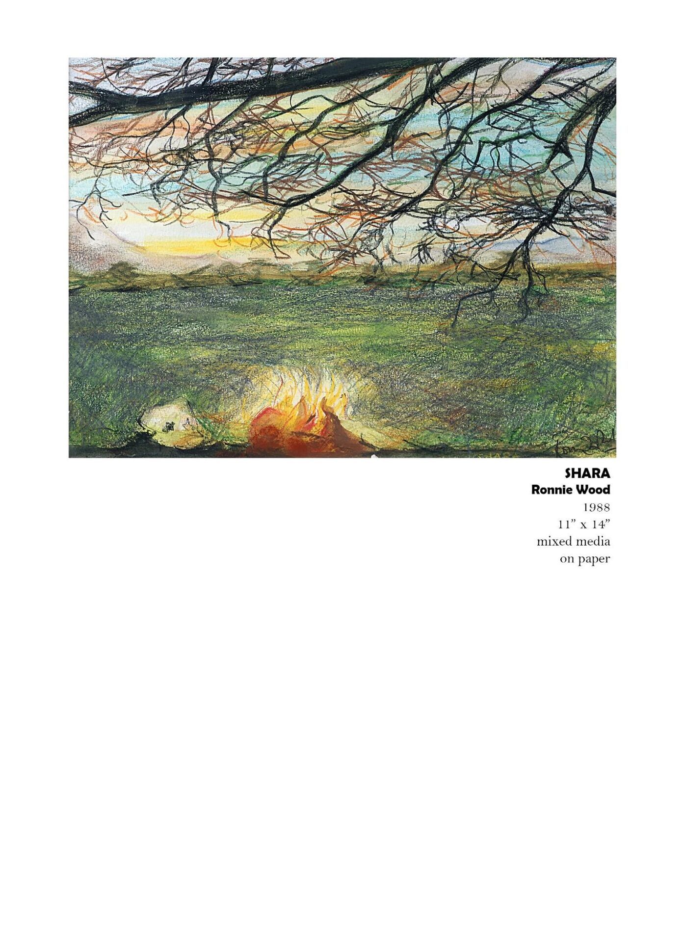 Landscape with sunset and bare tree branches.