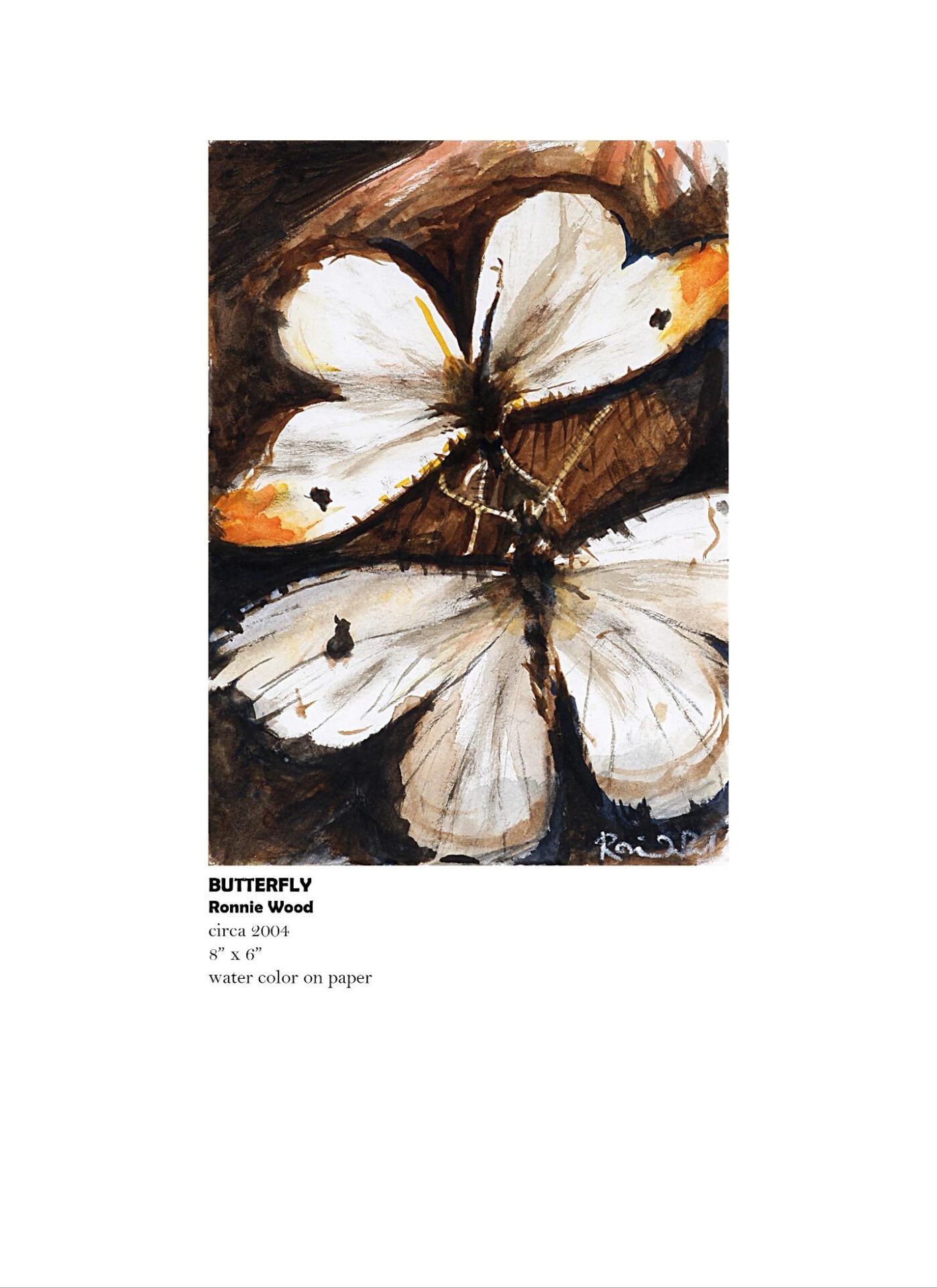 Watercolor painting of two butterflies.
