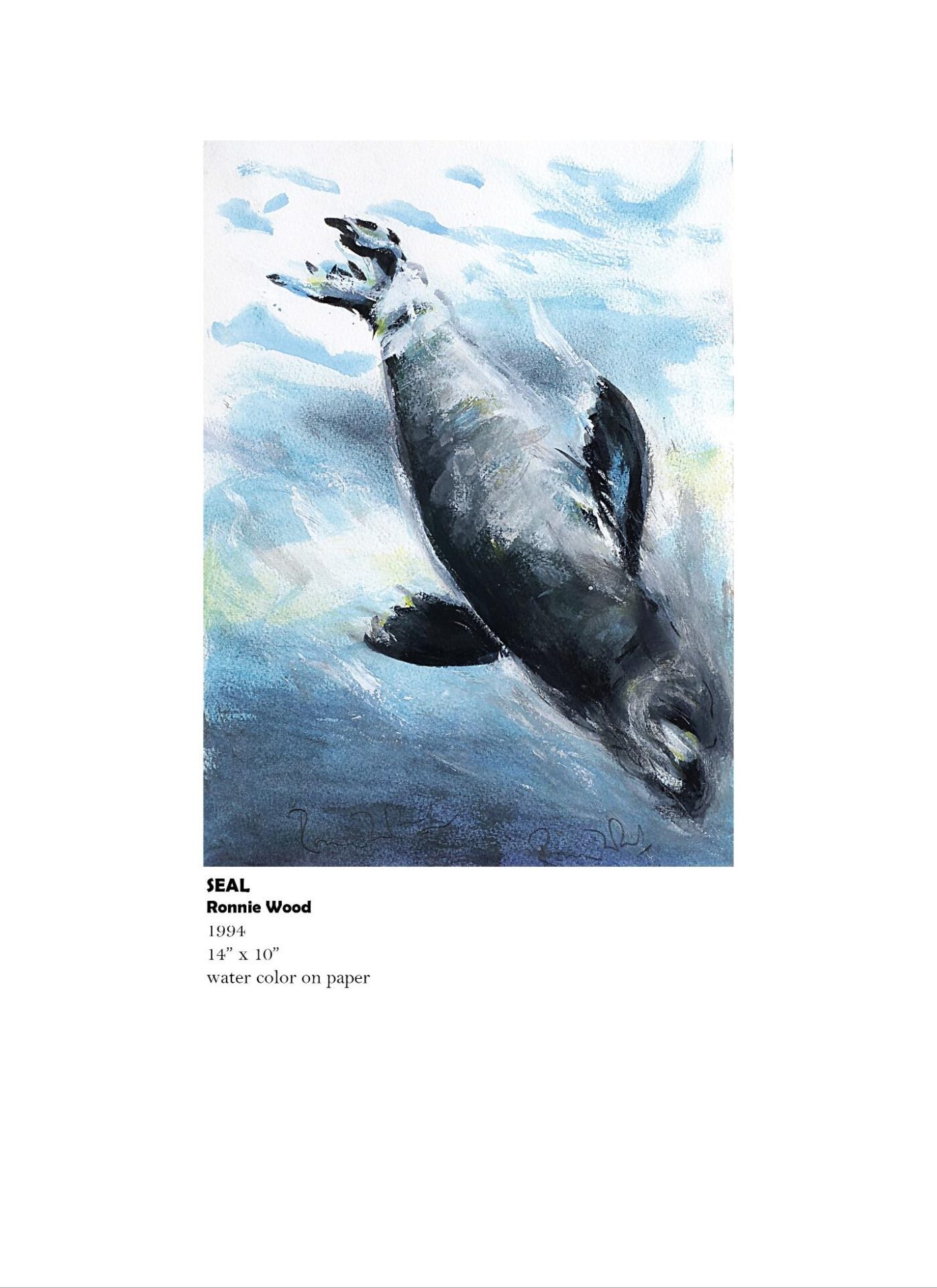 Seal swimming in watercolor artwork.